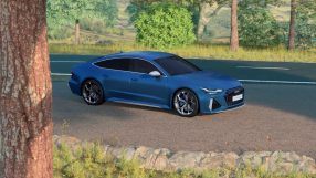 Audi RS 7 Sportback performance – Self-locking center differential